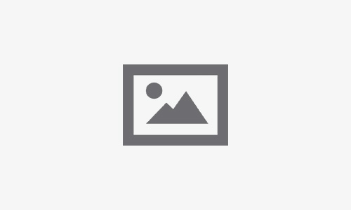 Spinomenal Online Games